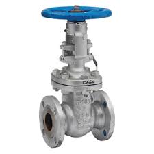 Stainless Steel Gate Valves