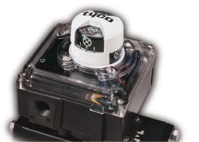 AVID ZR