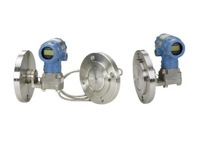 Diaphragm Seals