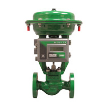 Fisher GX General Service Control Valve