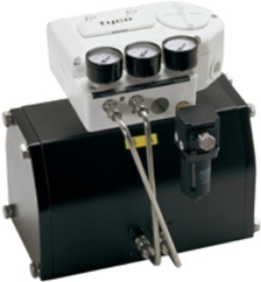 Pneumatic