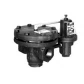 Steam