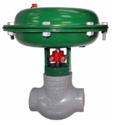 Fisher D2 FloPro Control Valve