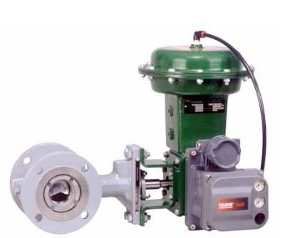 Fisher CV500 Control Valves