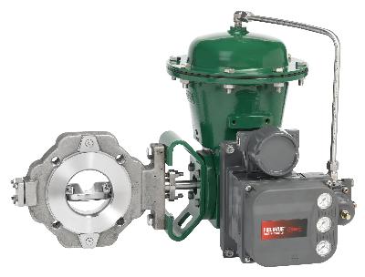 Fisher 8580 Rotary Valve